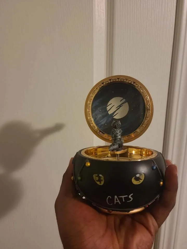 Cats musical music box image indicator(3)