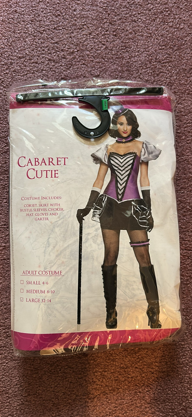 Spirit Halloween Cabaret Cutie Costume
