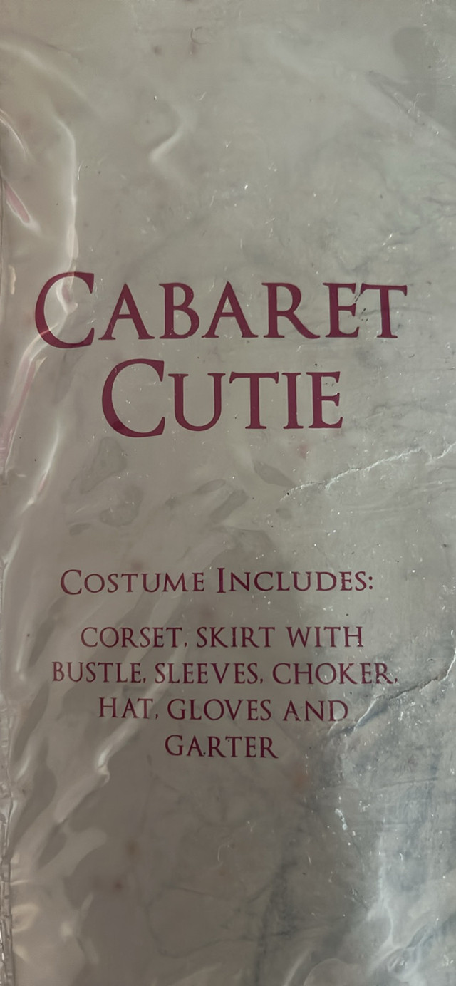 Spirit Halloween Cabaret Cutie Costume - photo 2