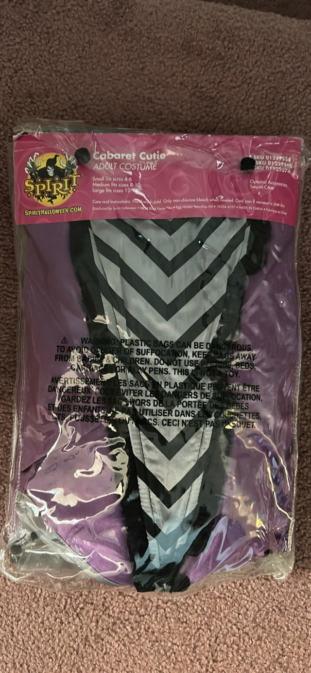 Spirit Halloween Cabaret Cutie Costume - photo 3