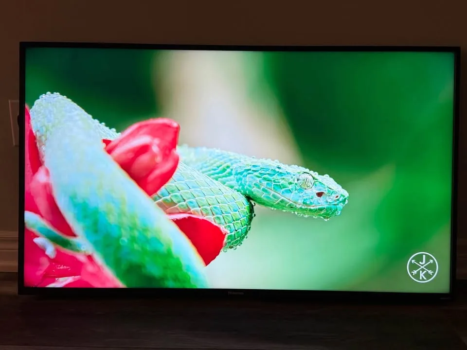 HISENSE 50” 4K UHD SMART ROKU TV image indicator(5)