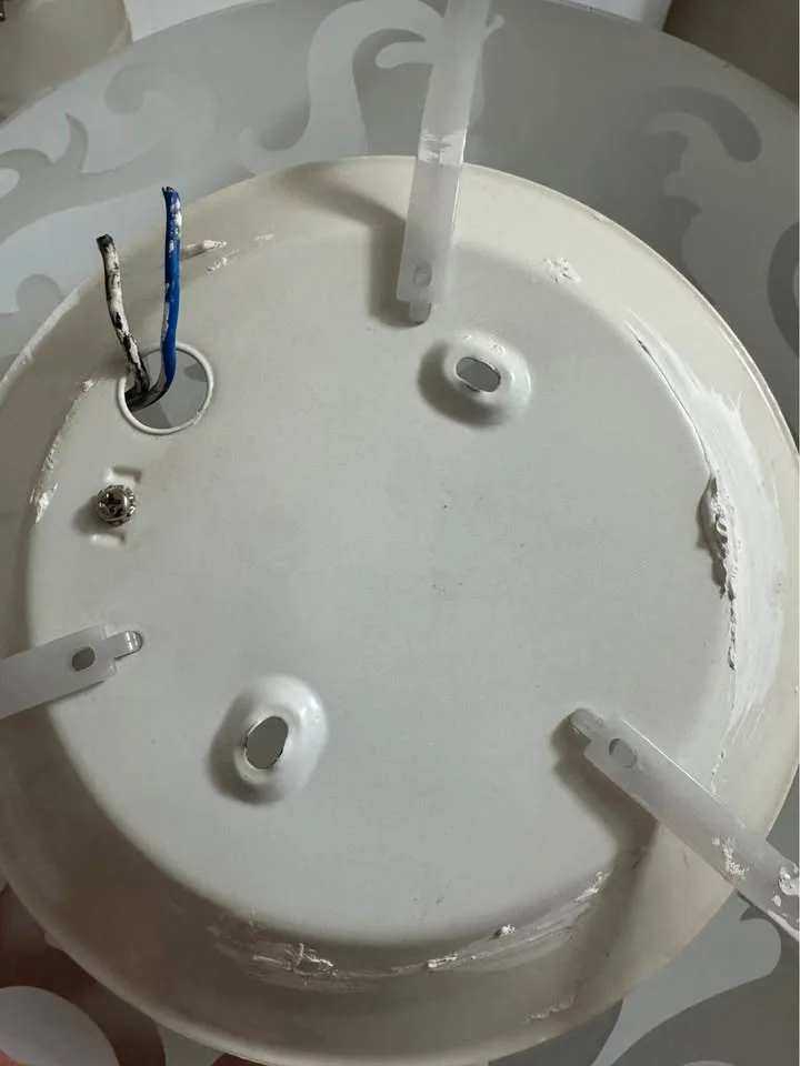 🥕French Vintage Ceiling Light – Elegant Porcelain Shade image indicator(3)