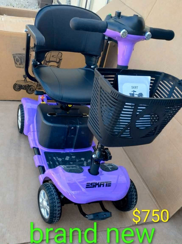 Eskate Scooter