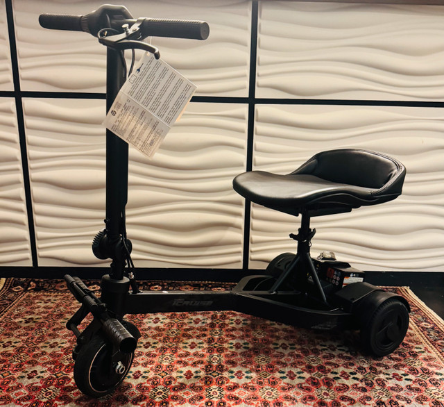 Go-Go iCruise 3-Wheel Folding Scooter