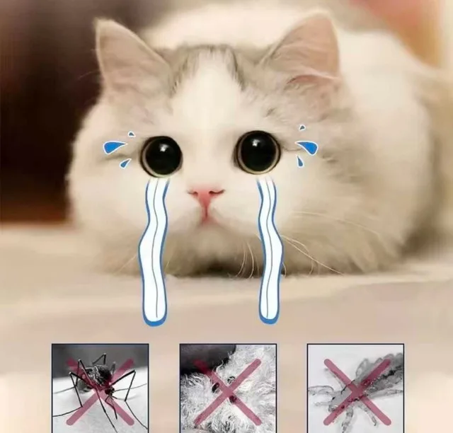 Pet Flea Collar Cat Dog Essential Oil Natural image indicator(2)