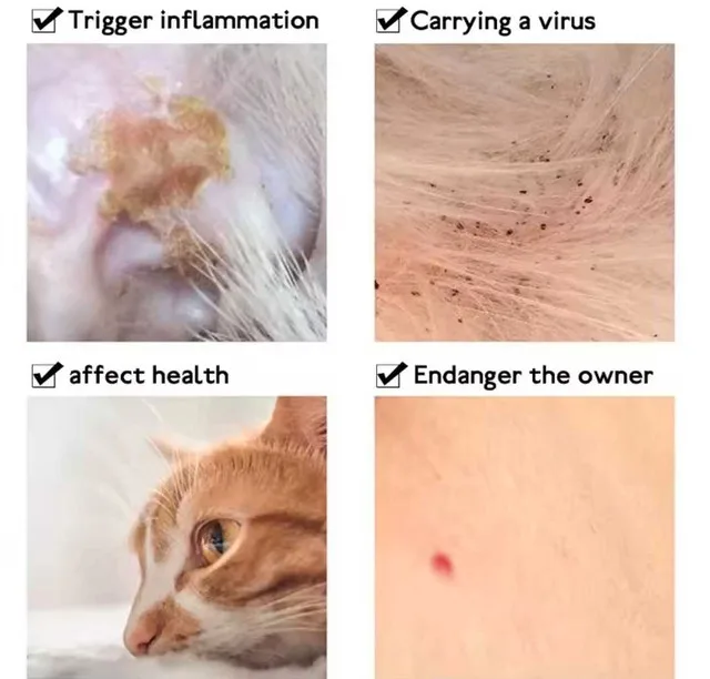 Pet Flea Collar Cat Dog Essential Oil Natural image indicator(3)