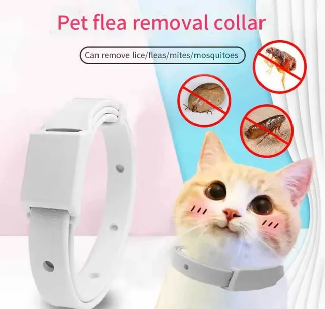 Pet Flea Collar Cat Dog Essential Oil Natural image indicator(4)