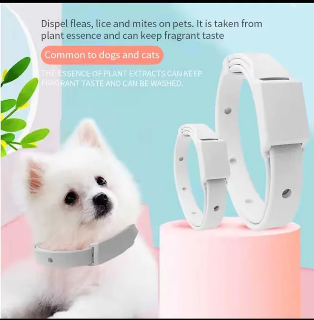 Pet Flea Collar Cat Dog Essential Oil Natural image indicator(5)