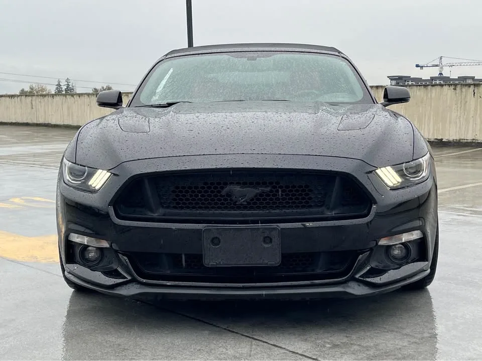 2017 Ford Mustang 5.0 GT image indicator(8)