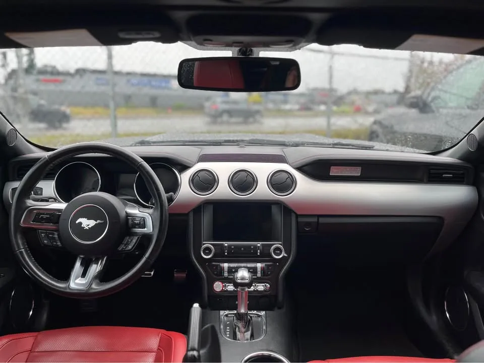 2017 Ford Mustang 5.0 GT image indicator(10)