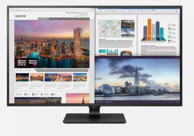 LG 43-inch 4K UHD IPS LED USB-C Monitor Model 43UD79-B image indicator(10)