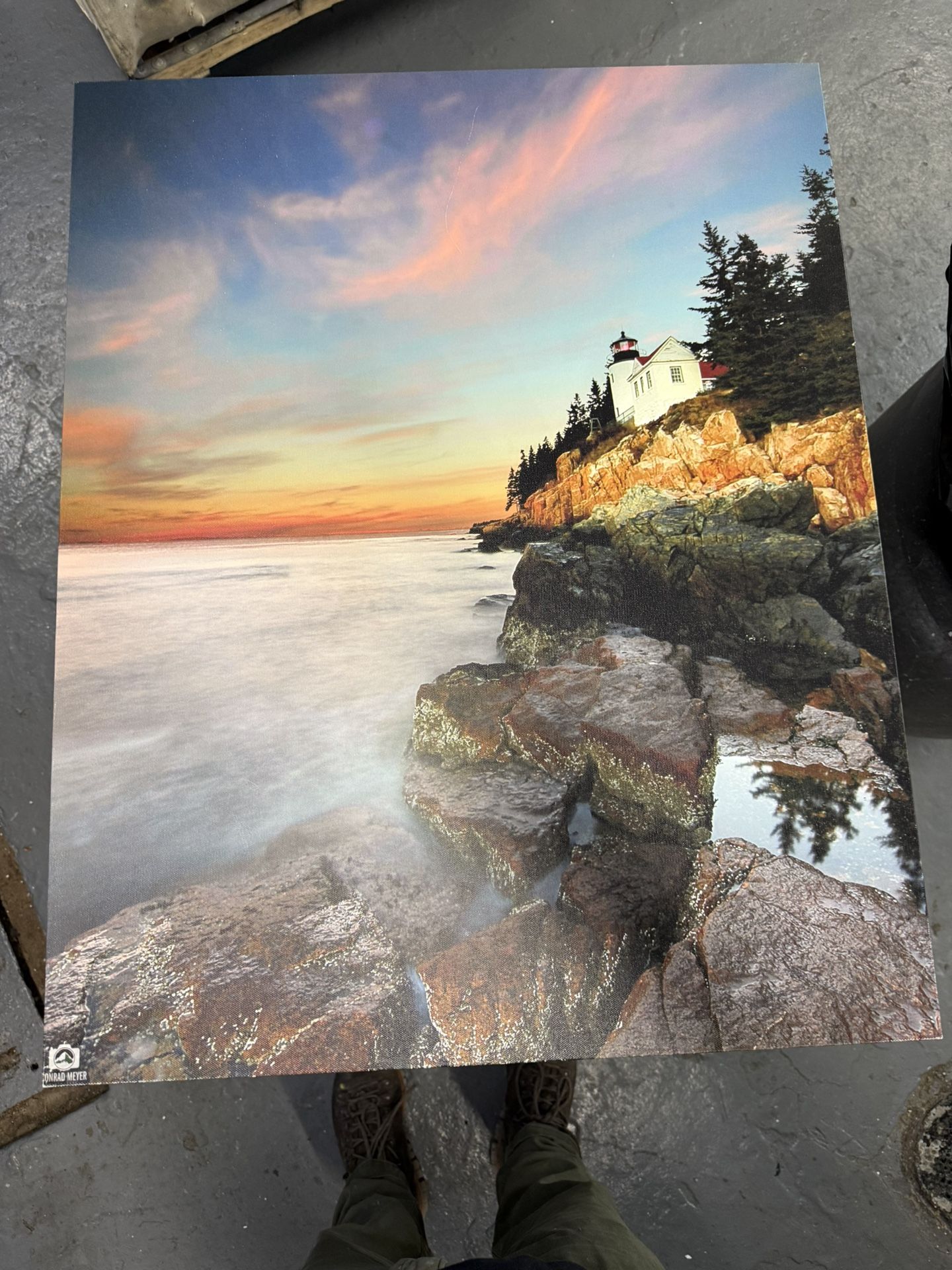 Four Canvas Prints. - photo 5