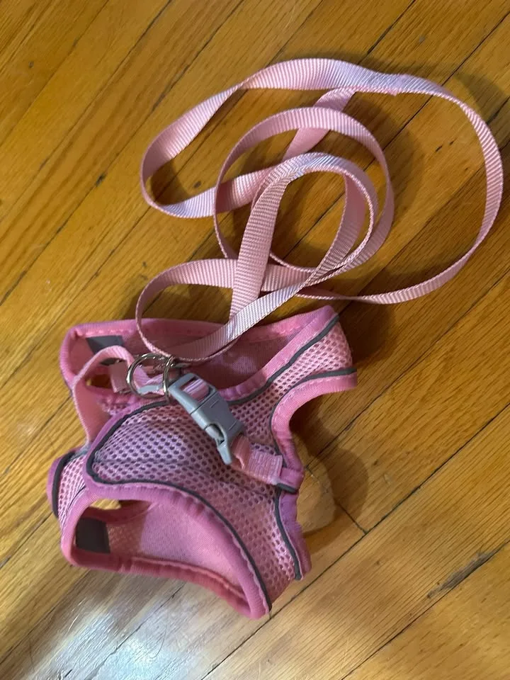 XS Clip Dog Harness image indicator(2)