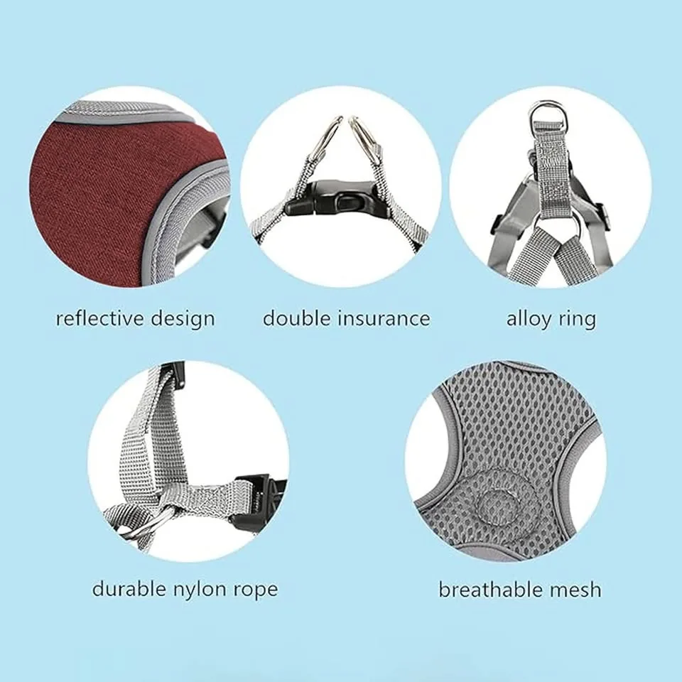 Dog Harness with Leash Set image indicator(2)