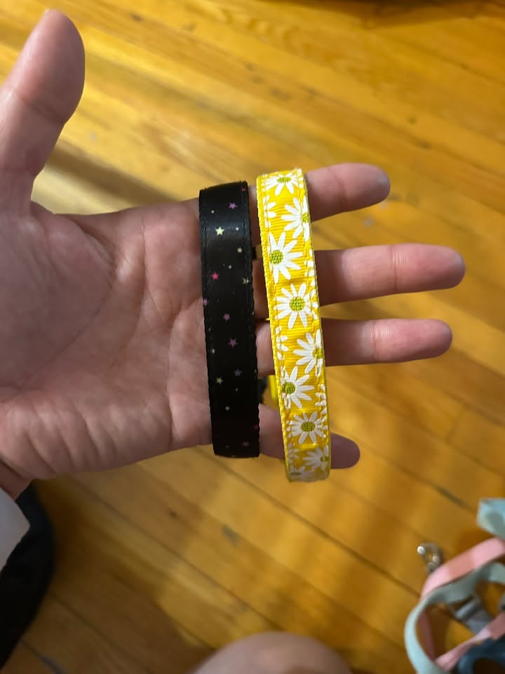 Small Dog Collars - photo 2