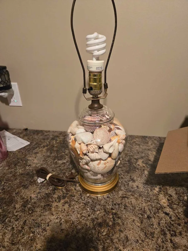 Seashell Lamp thumbnail