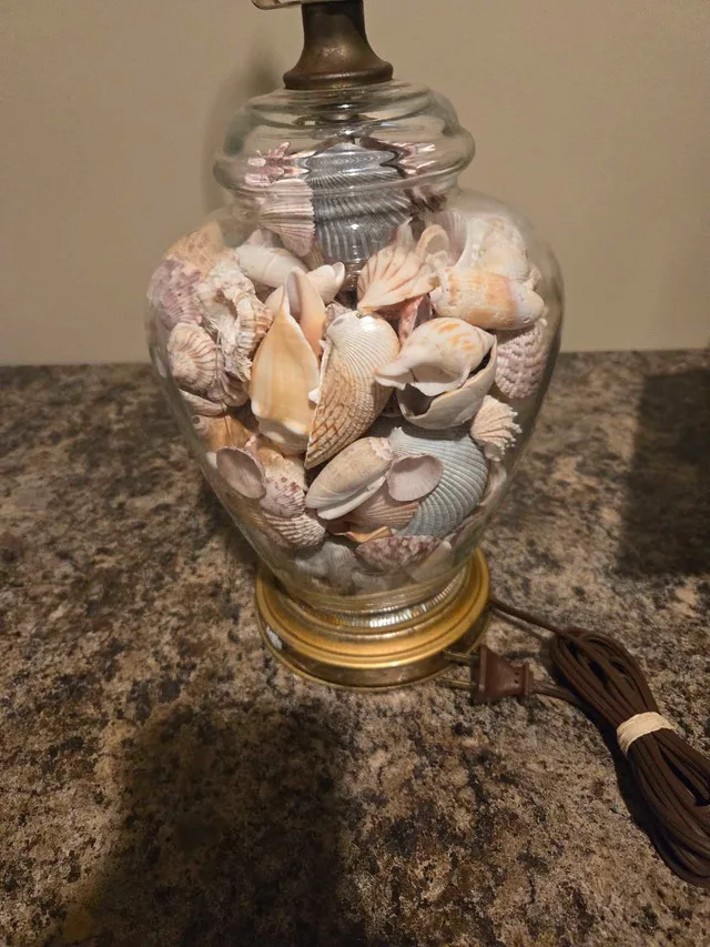 Seashell Lamp image indicator(2)
