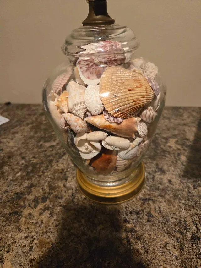 Seashell Lamp image indicator(3)