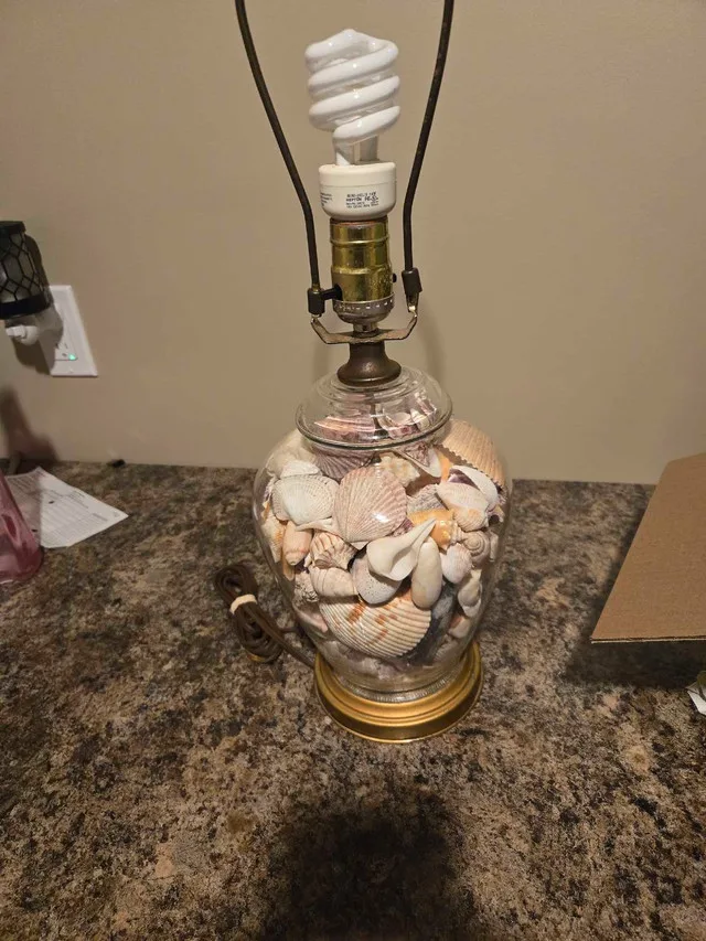 Seashell Lamp image indicator(4)