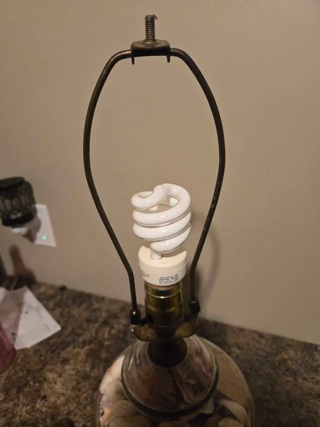 Seashell Lamp image indicator(5)