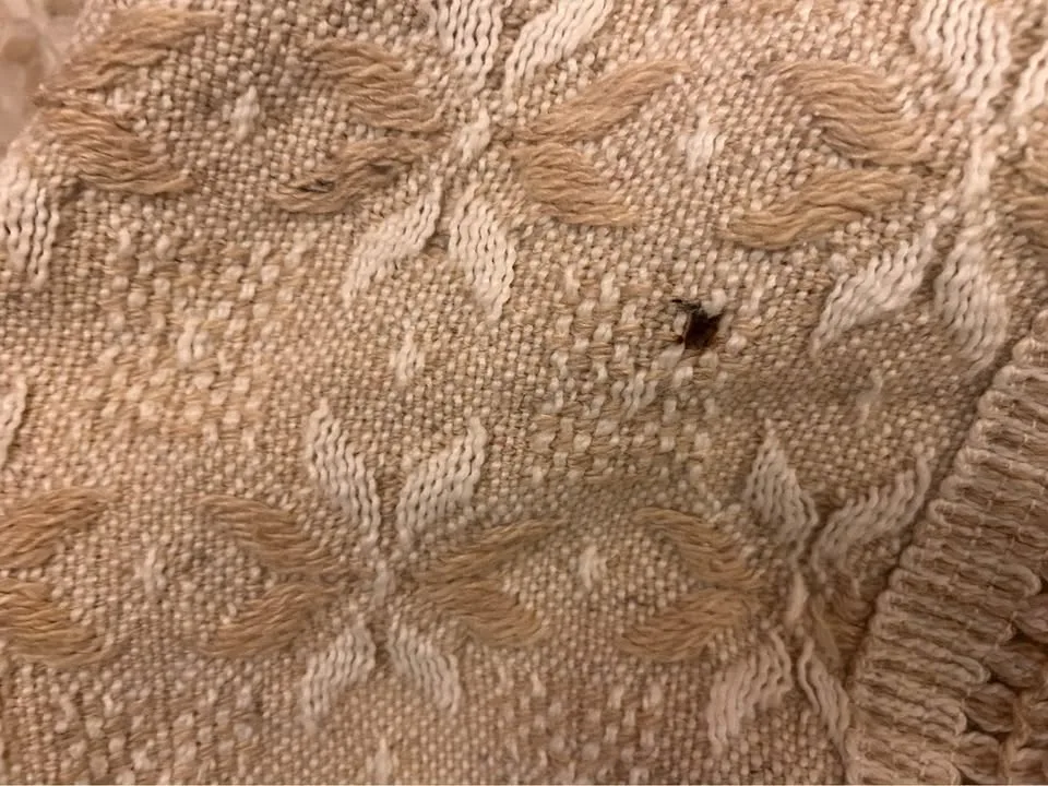 Vintage Portuguese Woven Throw / Bedspread image indicator(7)