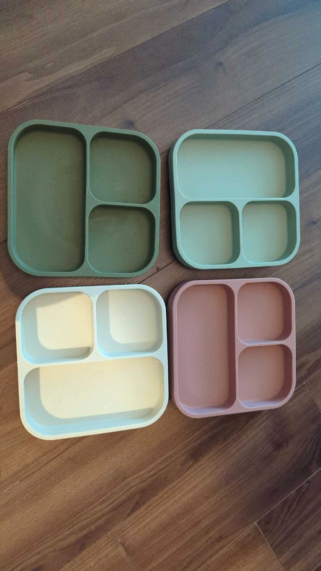 Ditto Silicone Plates