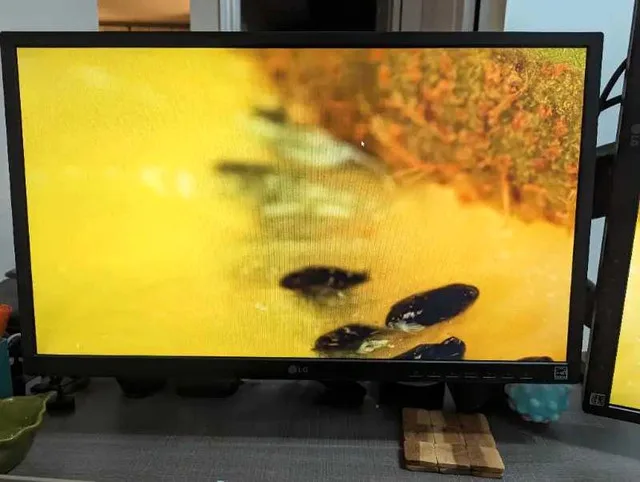 LG 24BK550Y Monitor 24" IPS thumbnail