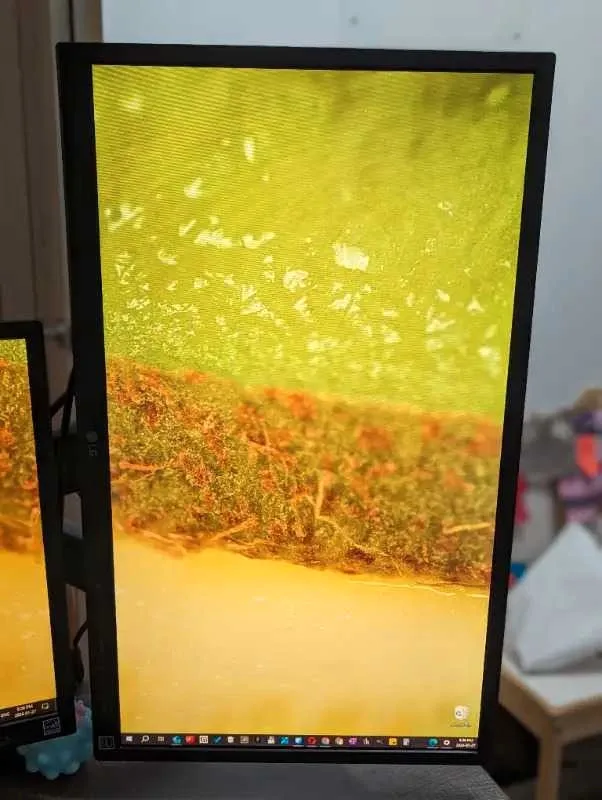 LG 24BK550Y Monitor 24" IPS image indicator(2)