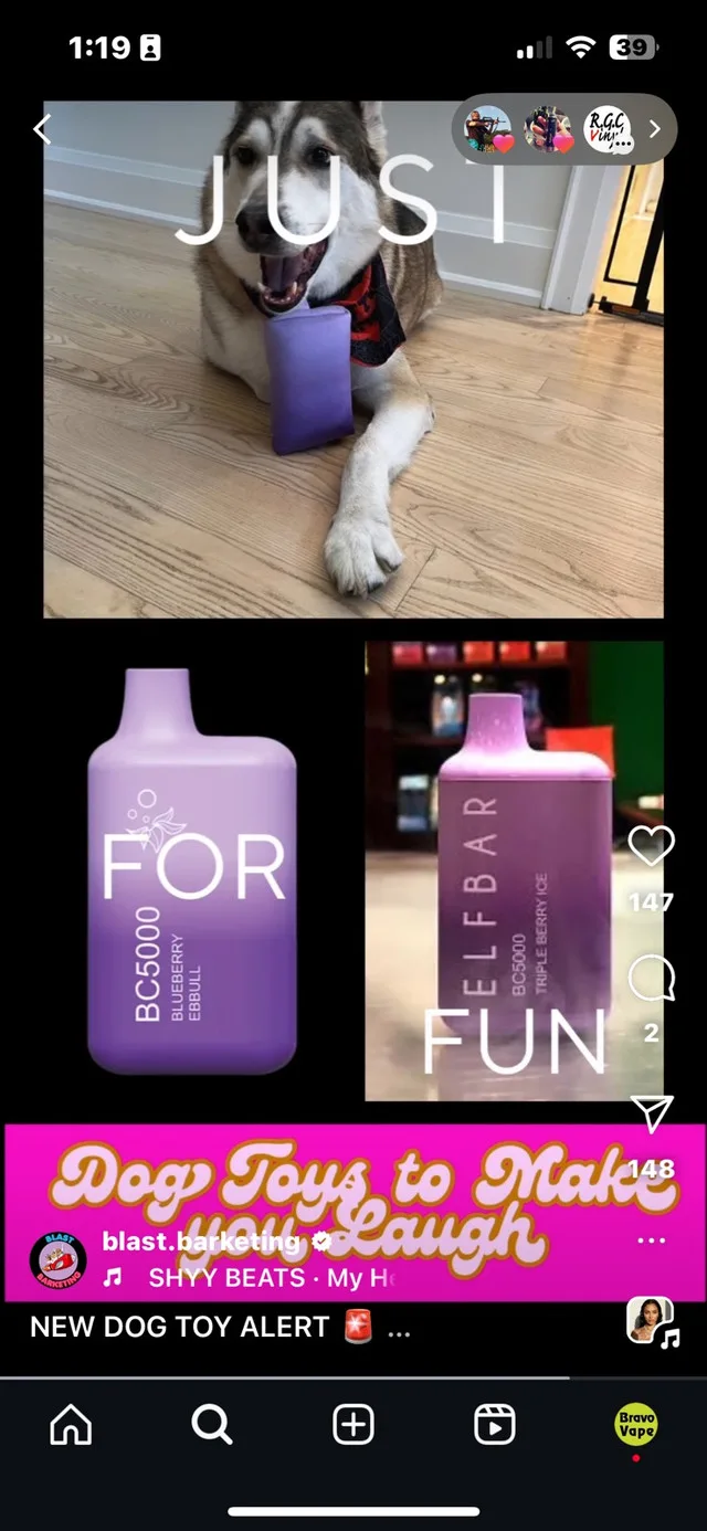 Dog Toy Pillow in Cute Shpe image indicator(2)