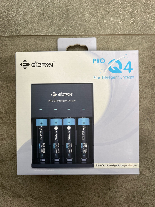 Eizfan Pro Q4 Charger