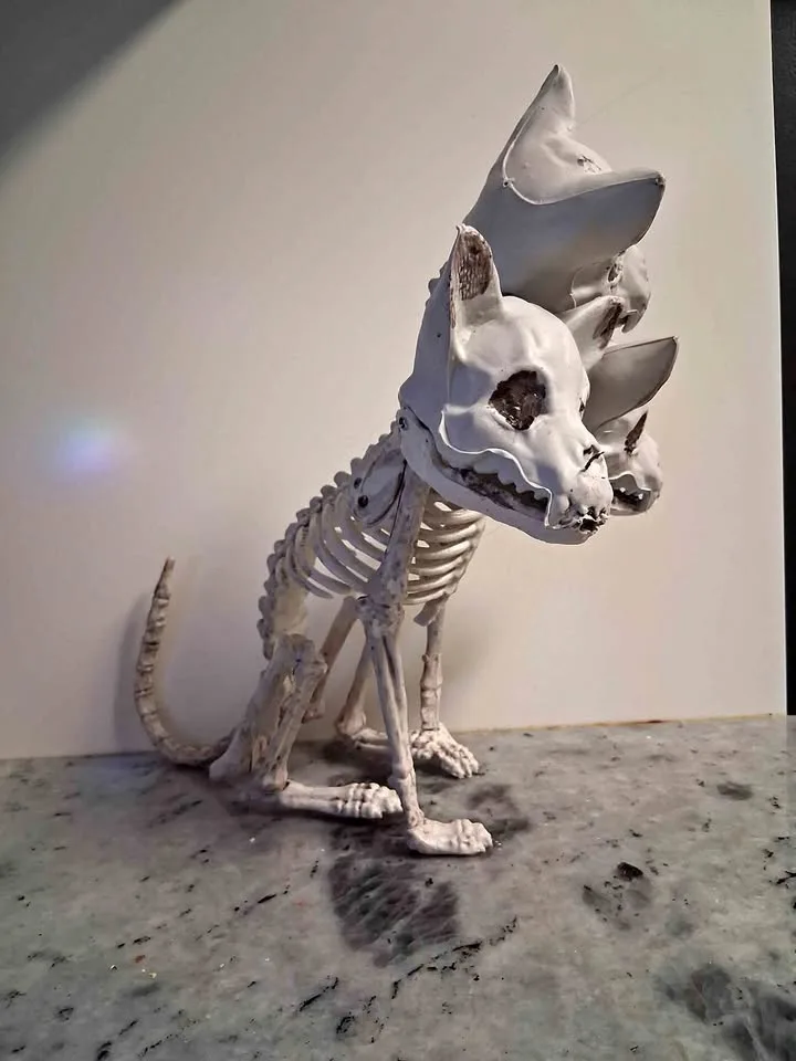 Plastic dog skeleton thumbnail