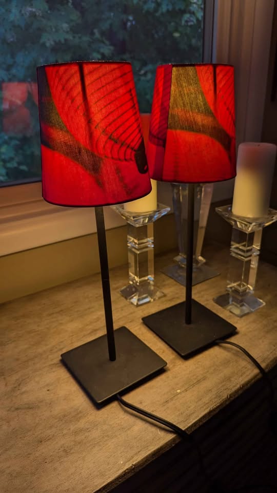 IKEA (discontinued 2010) Red Retro lamp shade pair - photo 2