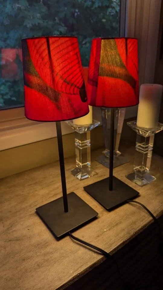 IKEA (discontinued 2010) Red Retro lamp shade pair image indicator(2)