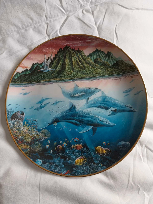 Marine Wildlife Plates - photo 5
