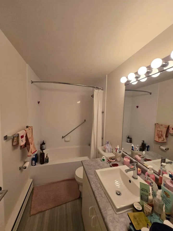 1 Bed 1 Bath - Apartment image indicator(5)