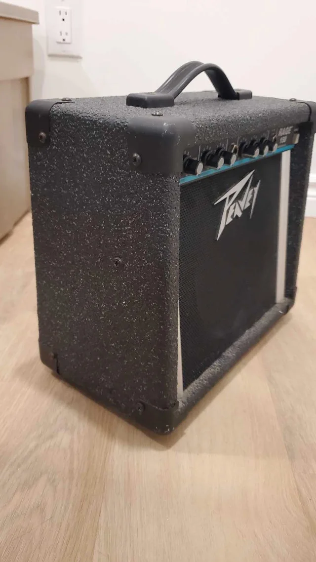 Peavey Rage 158 Amp image indicator(4)