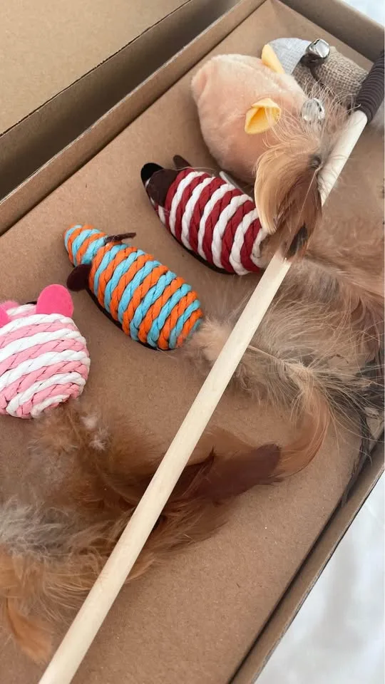 Cat toy thumbnail