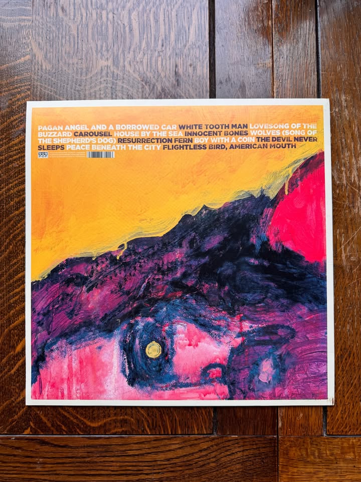 Vinyl Record: Iron And Wine "The Shepherd's Dog" - photo 5