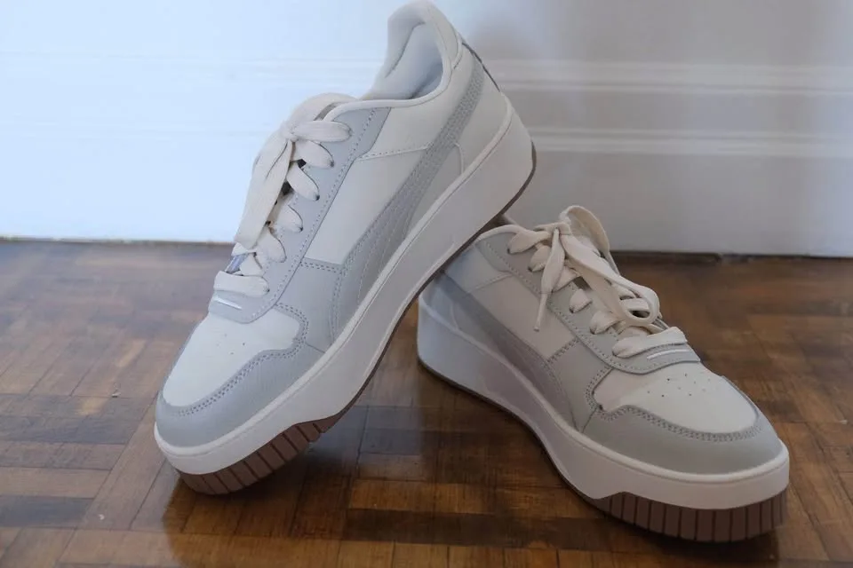 Puma image indicator(2)