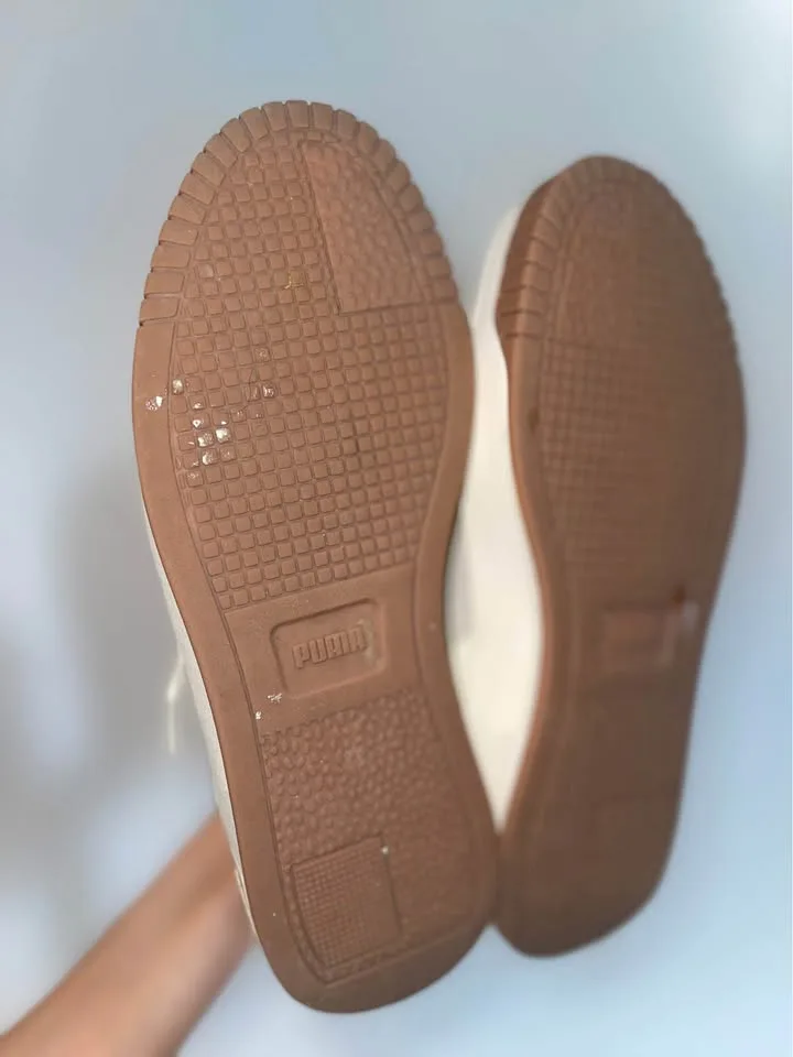 Puma image indicator(3)