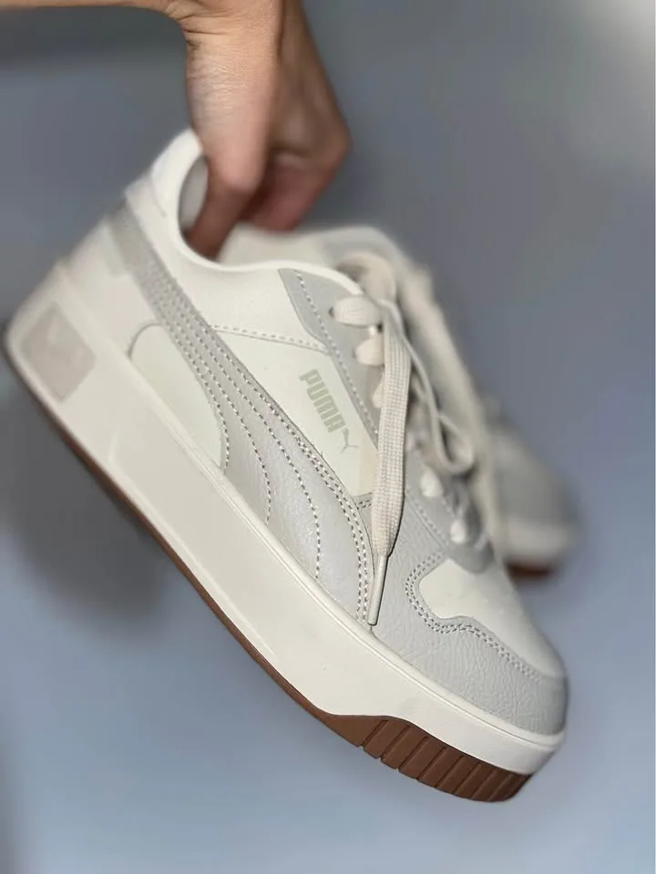 Puma image indicator(5)