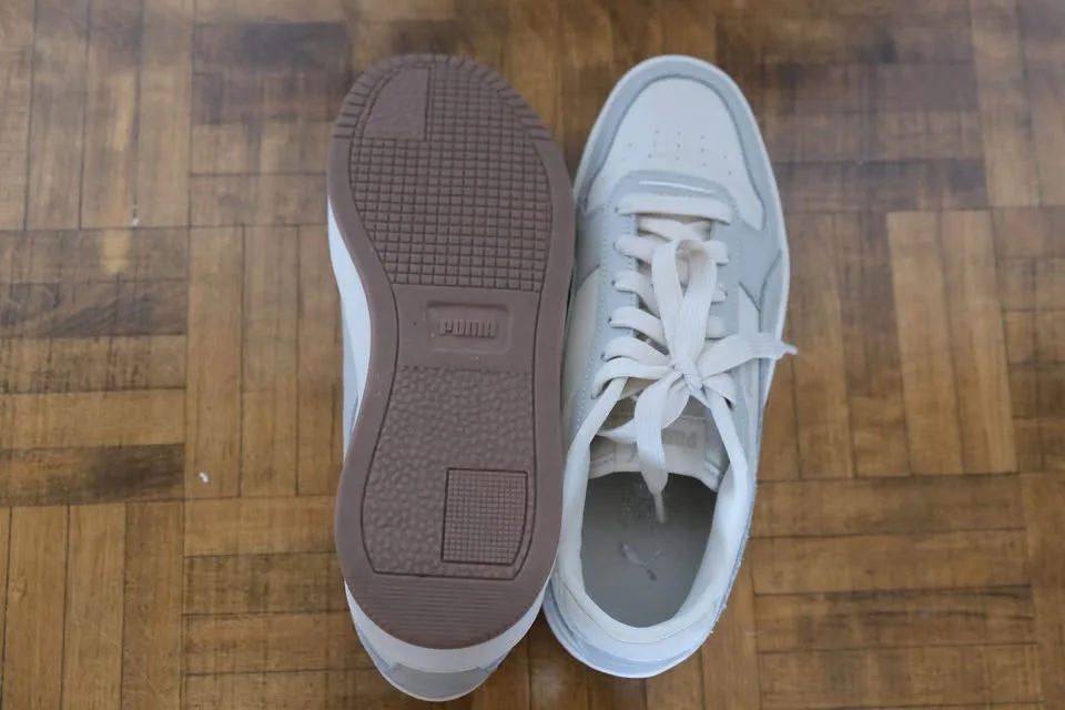 Puma image indicator(6)