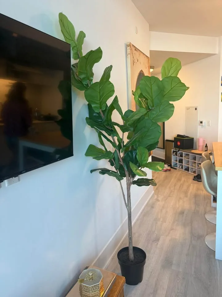 Artificial Tall plant 7 ft image indicator(3)