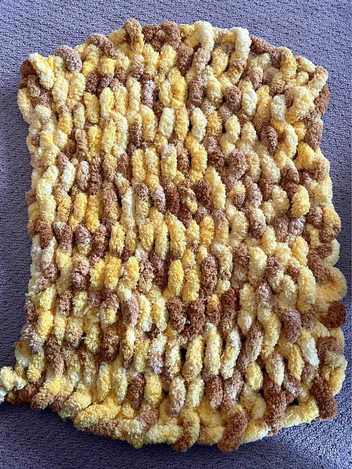 Pet Bed/Blanket