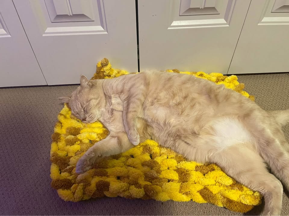 Pet Bed/Blanket - photo 2