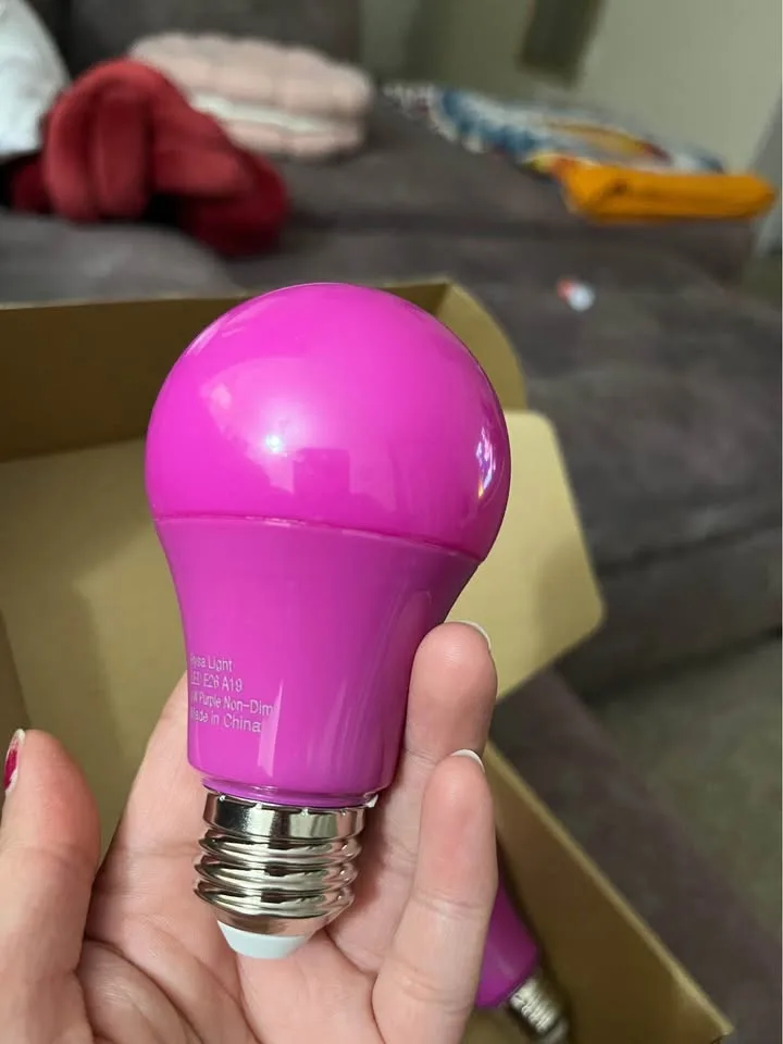 Light Bulbs purple image indicator(4)