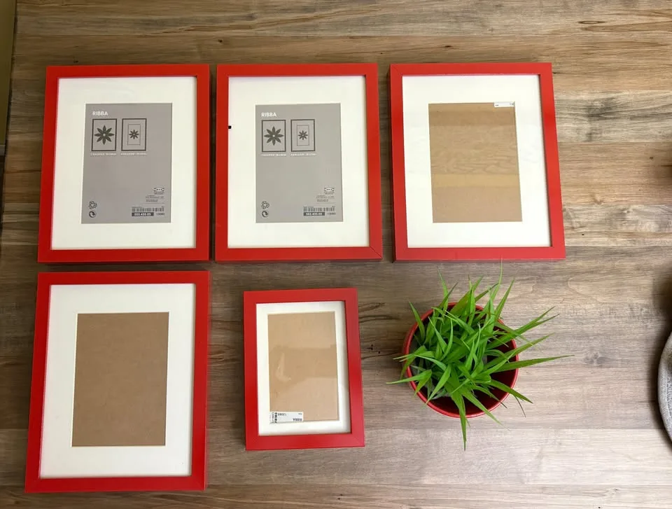 Red IKEA RIBBA Picture Frames & Matching Plant Pot