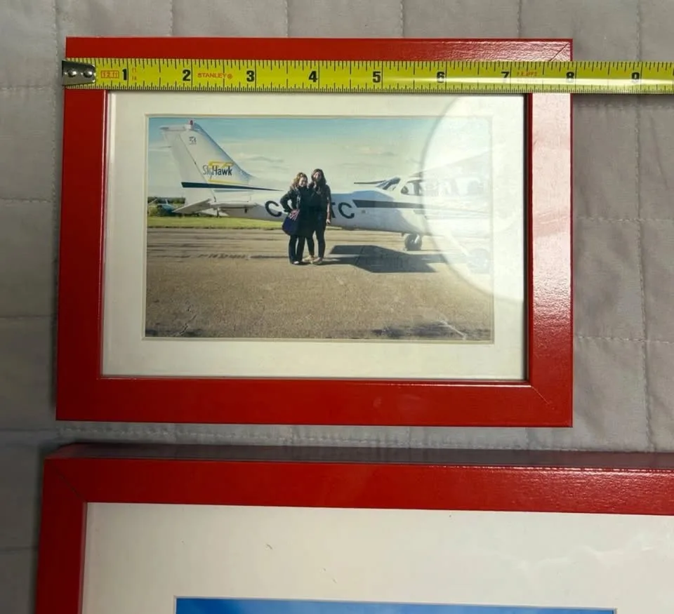 Red IKEA RIBBA Picture Frames & Matching Plant Pot image indicator(5)