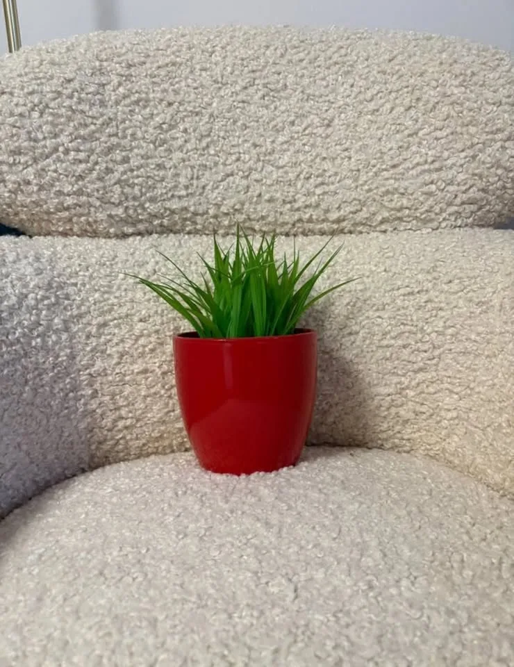 Red IKEA RIBBA Picture Frames & Matching Plant Pot image indicator(9)