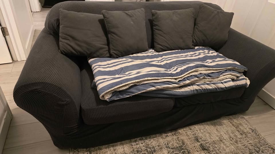 Free Loveseat - photo 2
